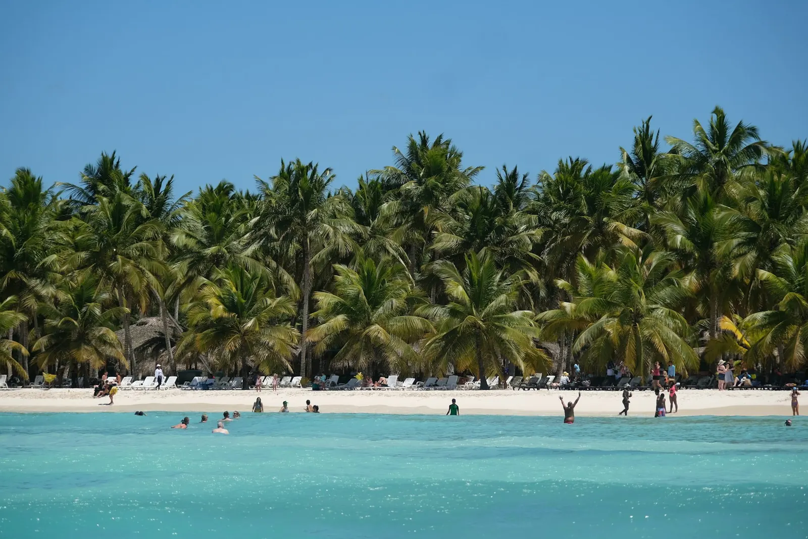 Isla Saona